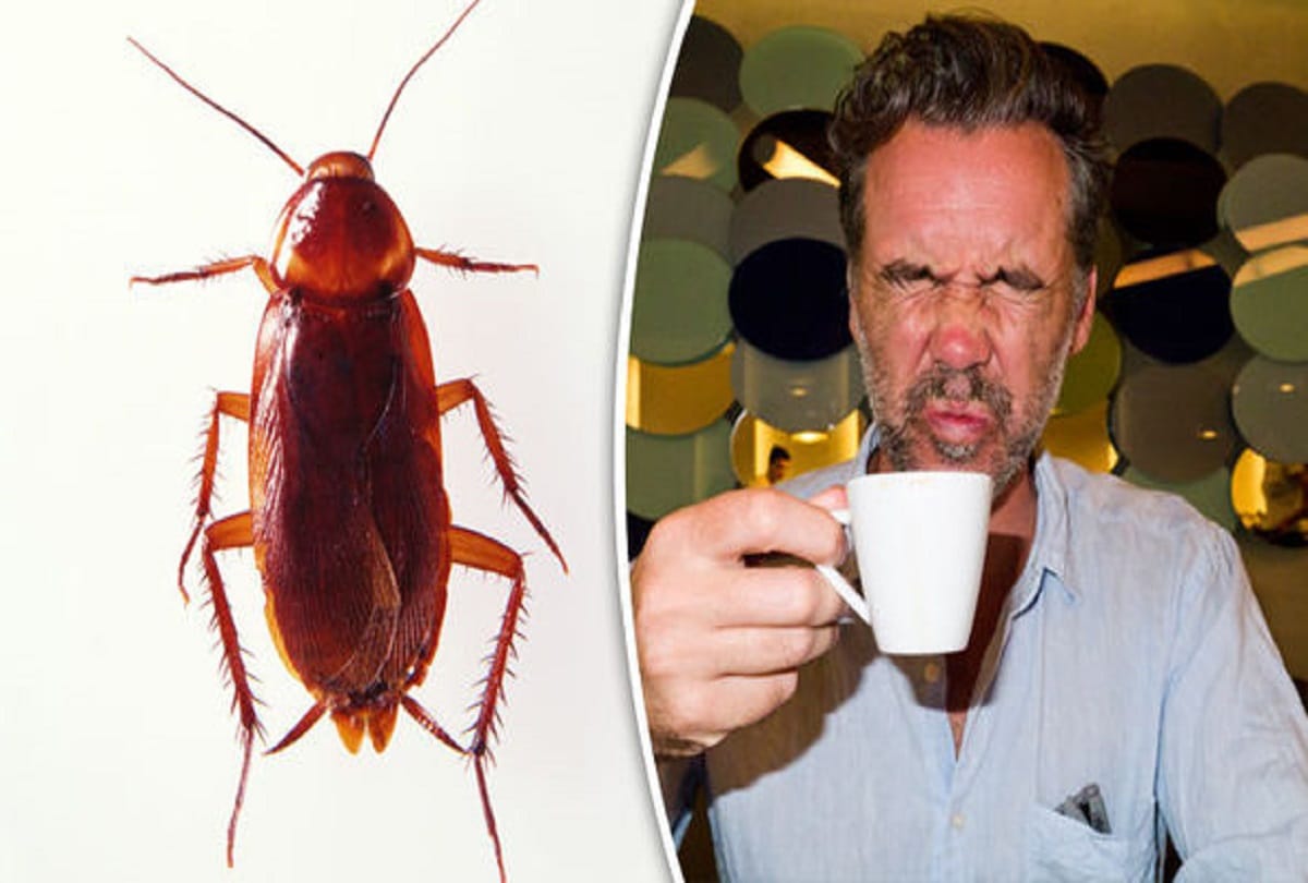 know reason why china people drink cockroach potion