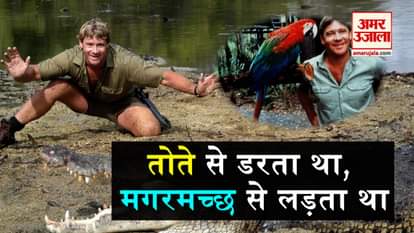 google doodle on crocodile hunter steve irwin
