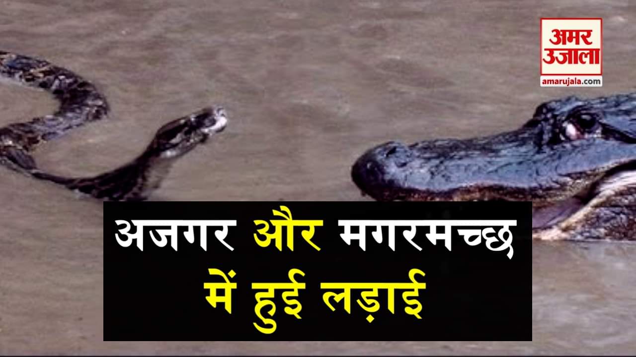 प्रतीकात्मक तस्वीर