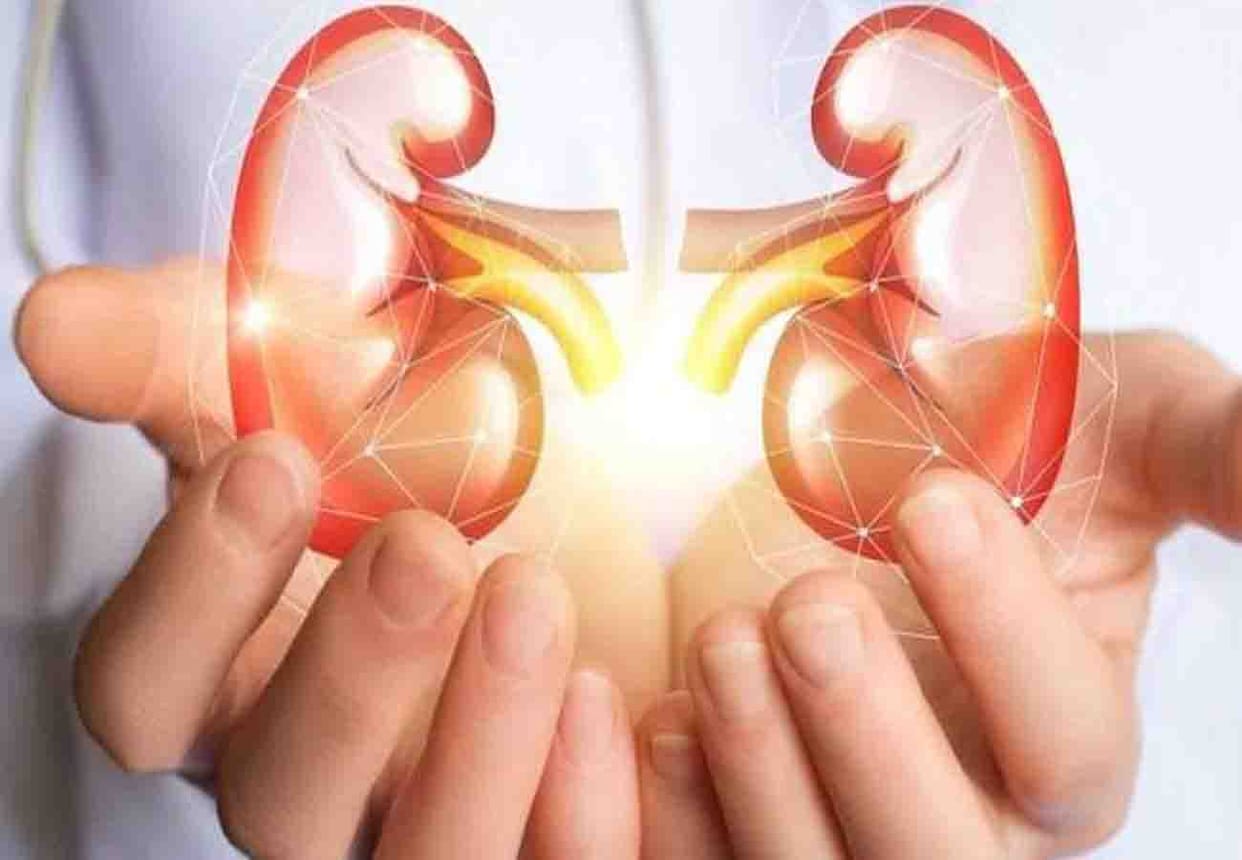 Kidney scandal kanpur update