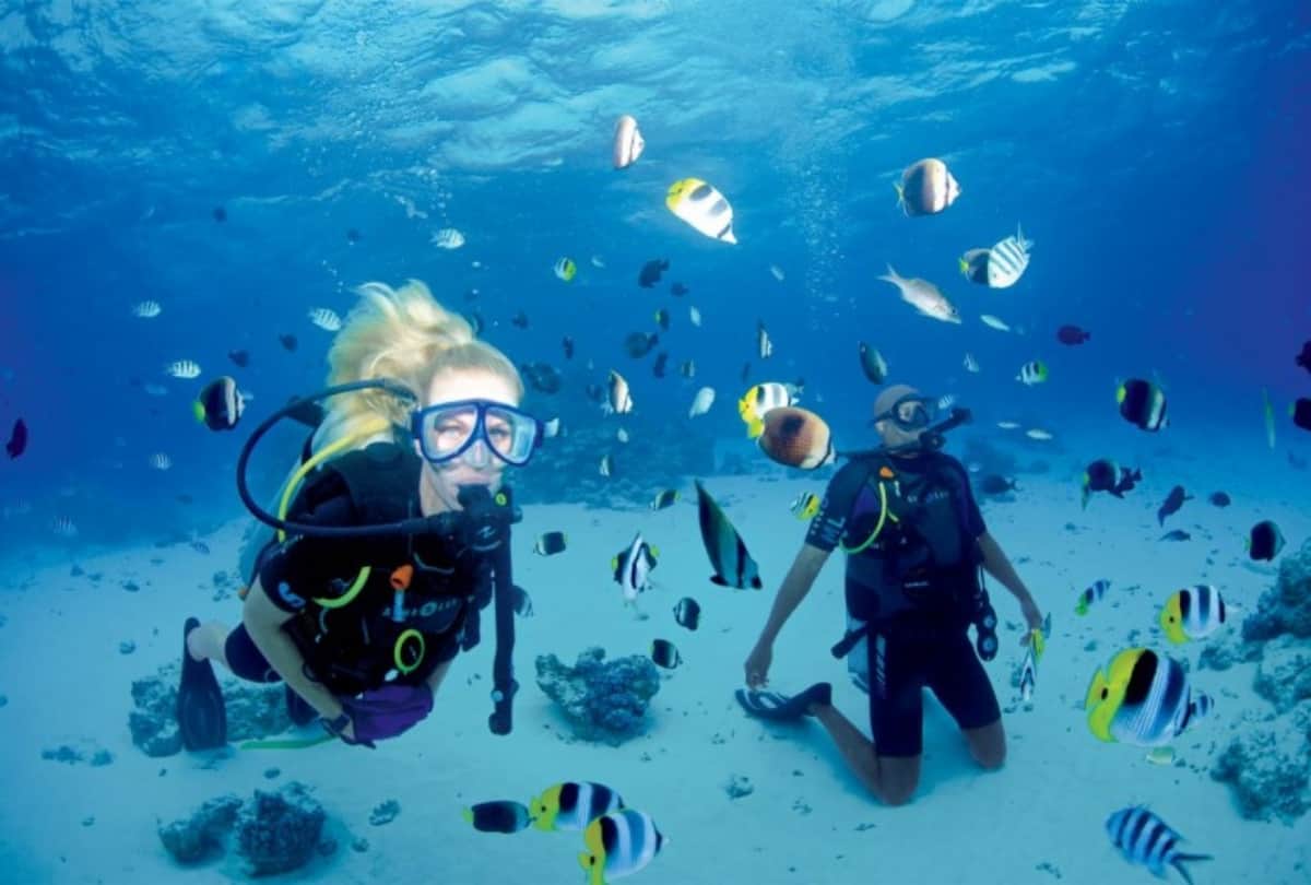 Know about best scuba diving sports in india