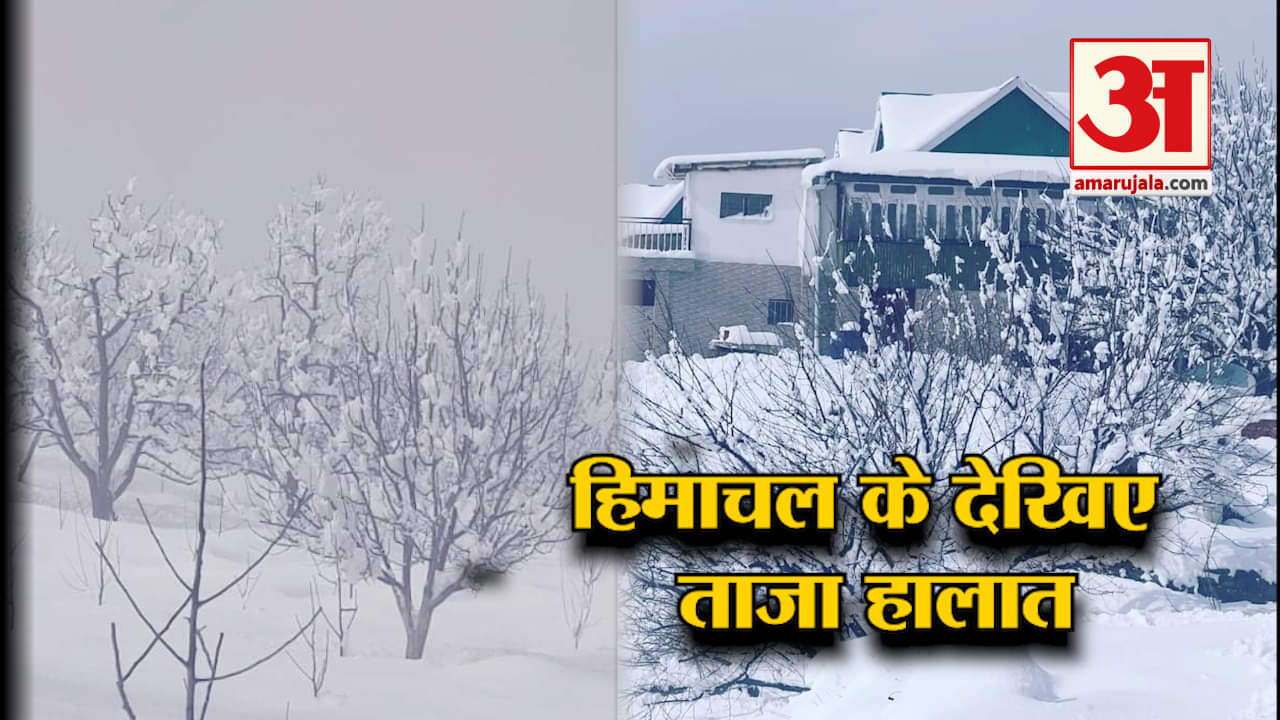 बर्फबारी