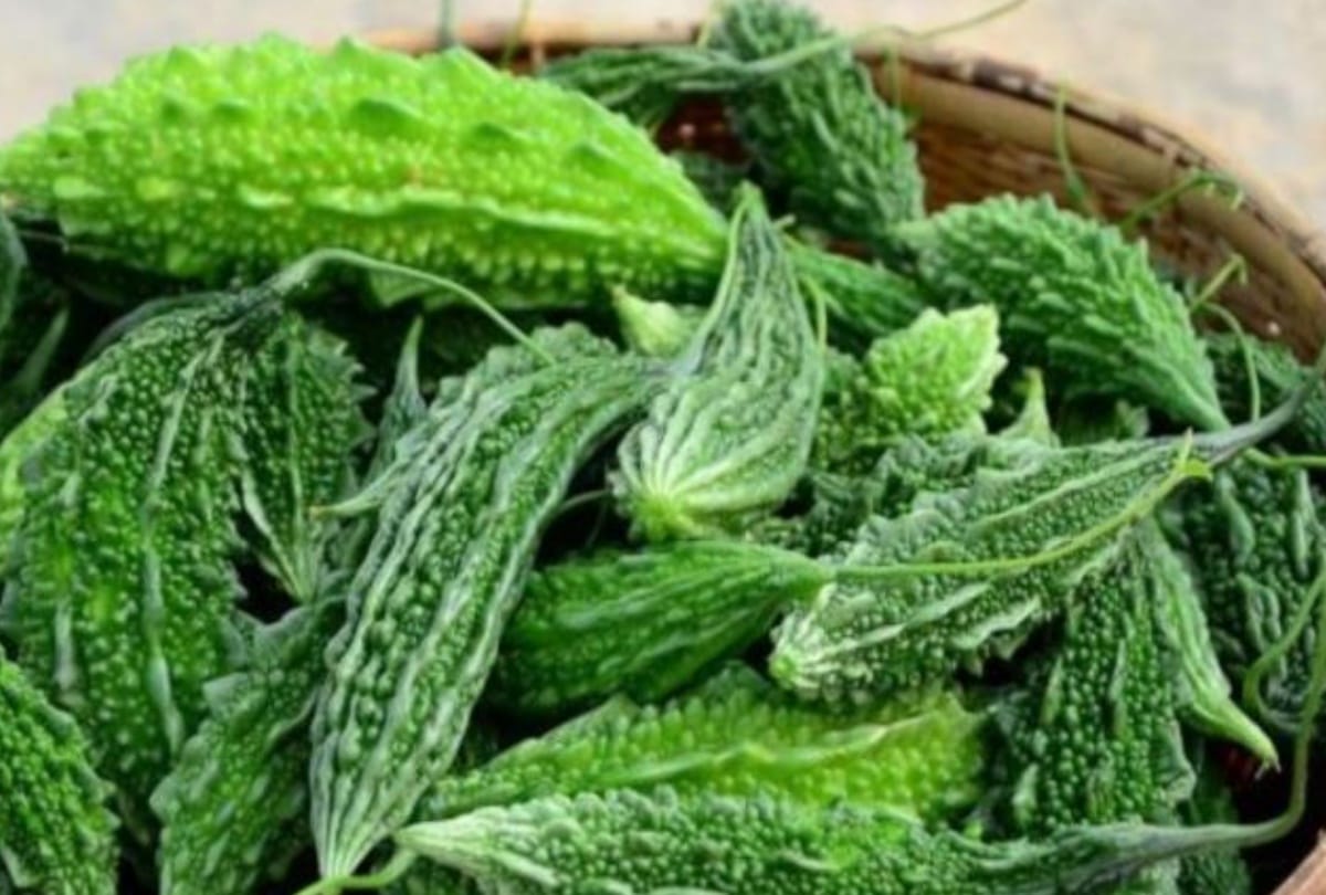 rates of vegetables in lucknow