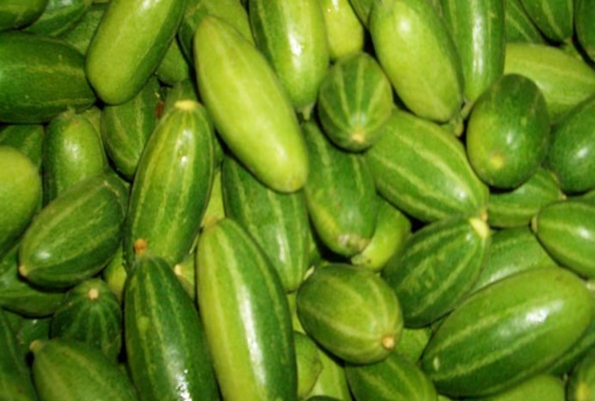rates of vegetables in lucknow
