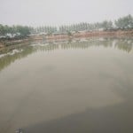 अब मत्स्य पालकों को भी मिलेगा किसान क्रेडिट कार्ड