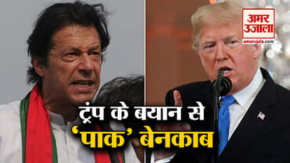 Donald Trump's Statement on Pulwama Attack, targeted Pakistan