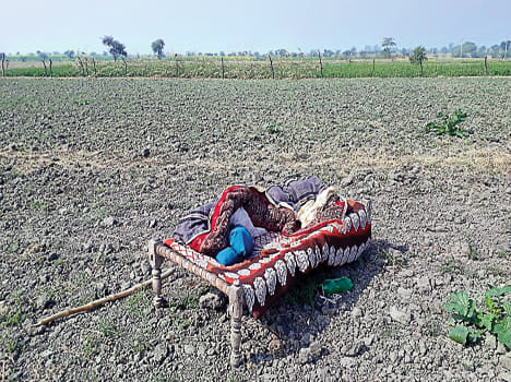 Farmers guarding crops by camping in fields