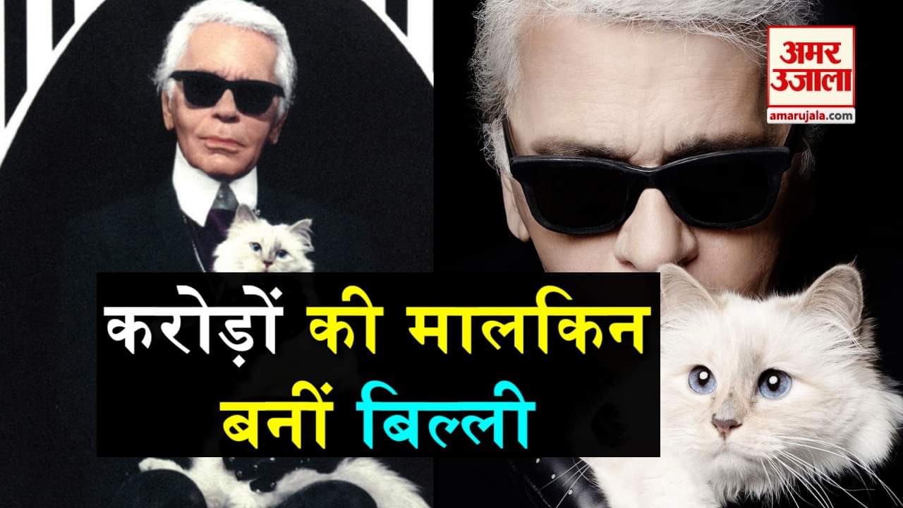 डिजाइन पिक्चर