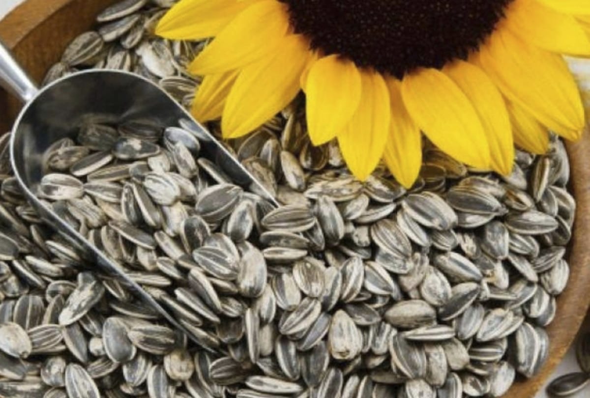 eat these superfoods for healthy and glowing skin