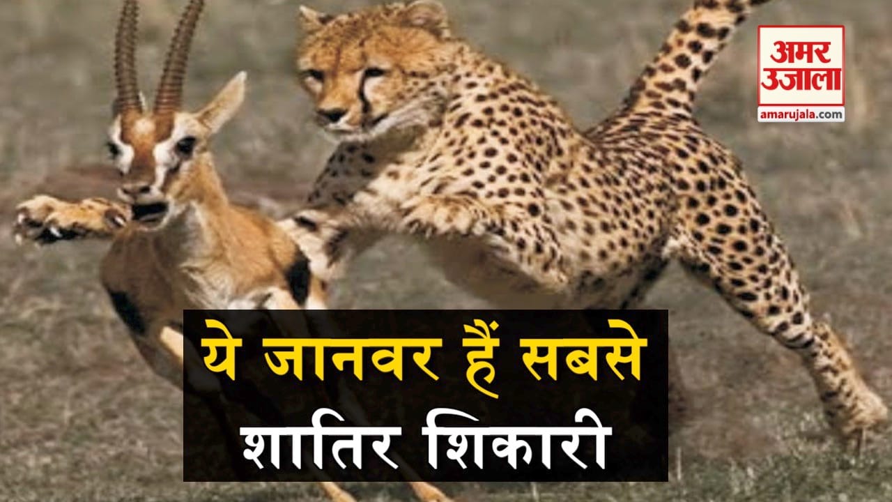 viral video