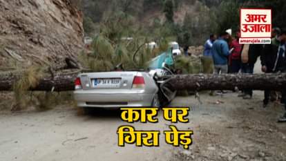 TREE FALLS IN CAR, TWO DIES