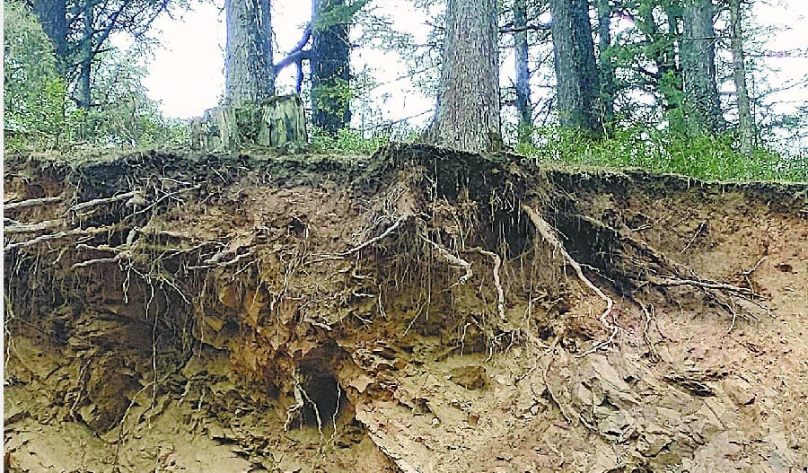 Women died in champawat