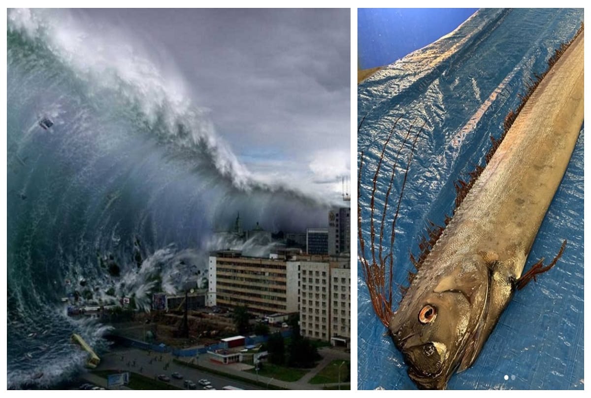 Japan fears earthquake and tsunami after rare fish caught on Sea surface