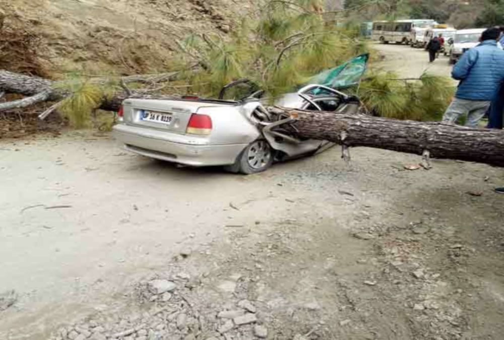 Tree fall on running car two women killed in accident at champawat