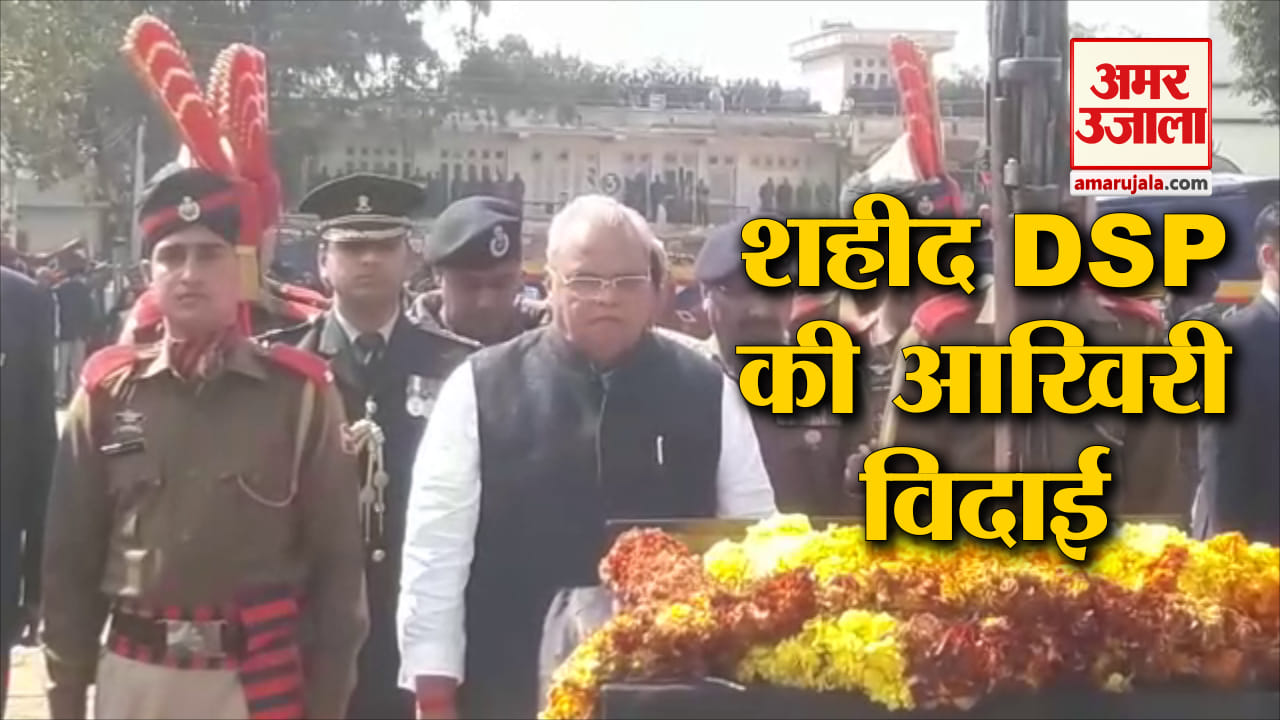 अमन ठाकुर