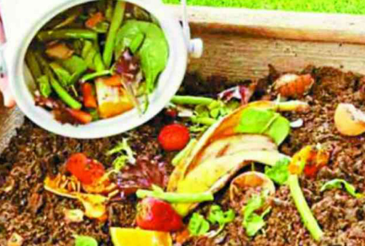 wasted flowers and vegetables use for compost making by nagar nigam agra