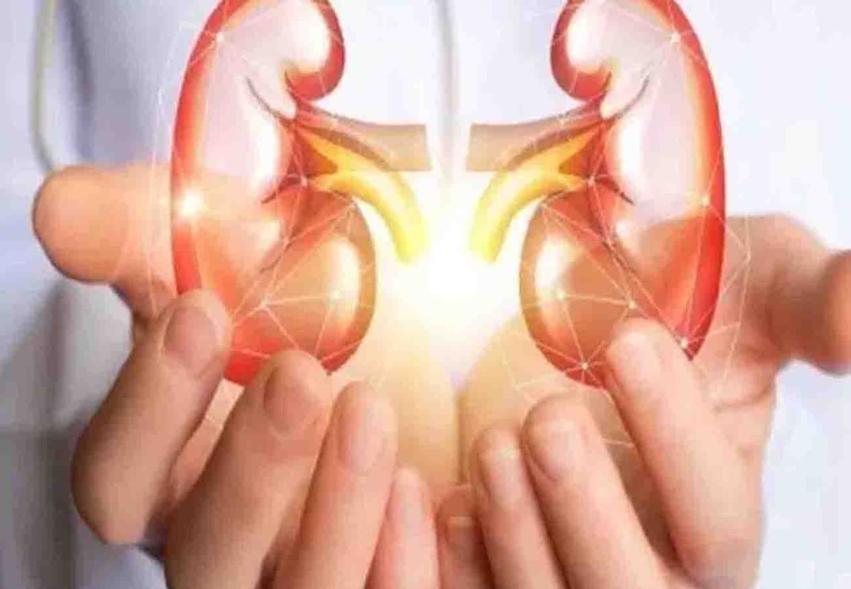 big disclosure of kanpur Kidney scandal