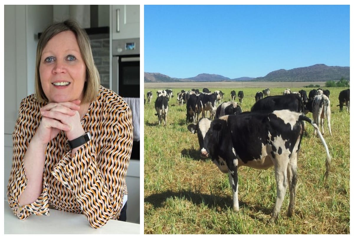 Cows farming show helped woman to pregnant and giving birth a baby after suffering four miscarriages