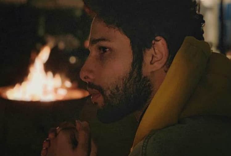 gully boy siddhant chaturvedi aka mc sher on his role