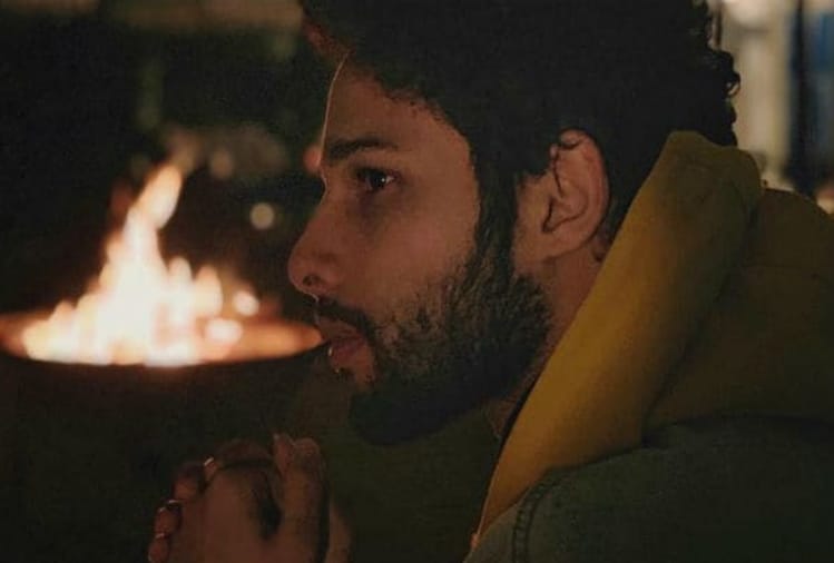 gully boy siddhant chaturvedi aka mc sher on his role