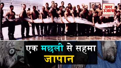 japan in on high alert cause of oarfish