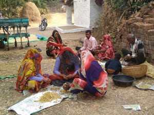 amla helps to incease farmers income
