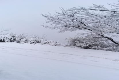 Snowfall and rainfall  Beneficial for Horticulture and Agricultural