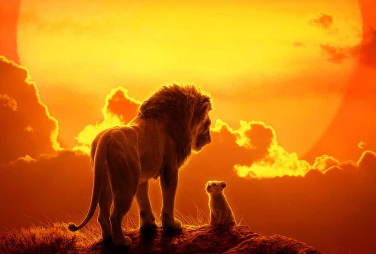 film Review The Lion King starrer by Shah rukh Khan and Aryan Khan