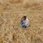 किसान (प्रतीकात्मक तस्वीर)