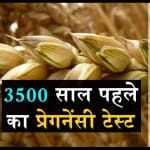 डिजाइन पिक्चर