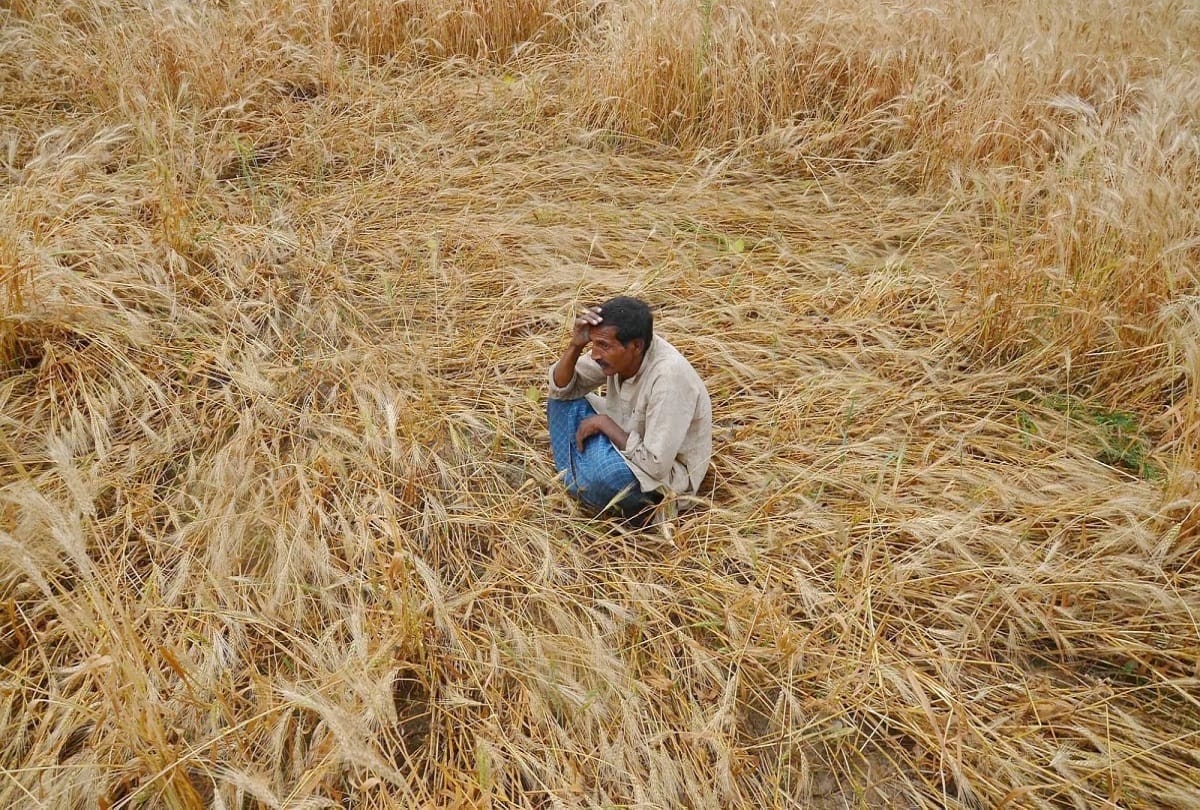 PM Kisan Samman Nidhi Yojna wrong feeds in Aadhar card of many farmers