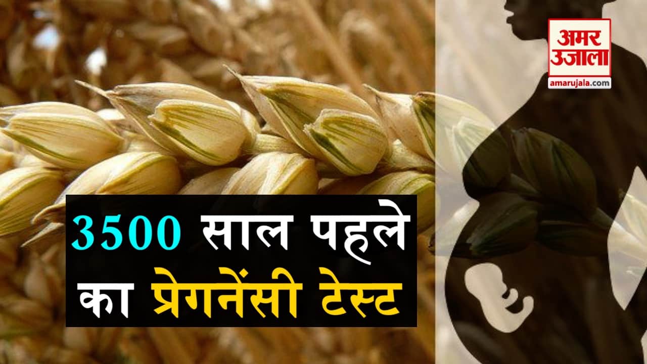 डिजाइन पिक्चर