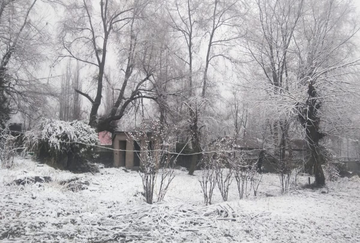 heavy snowfall recorded in himachal including shimla city