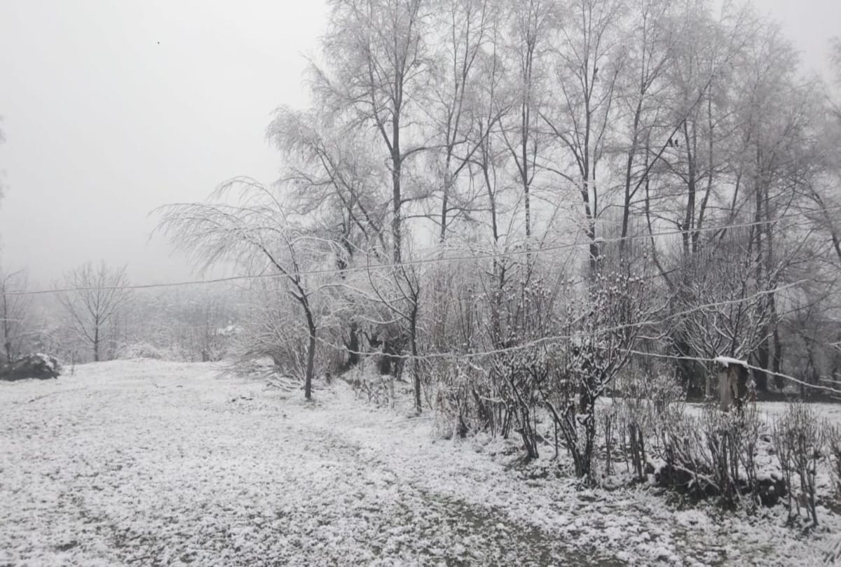 heavy snowfall recorded in himachal including shimla city