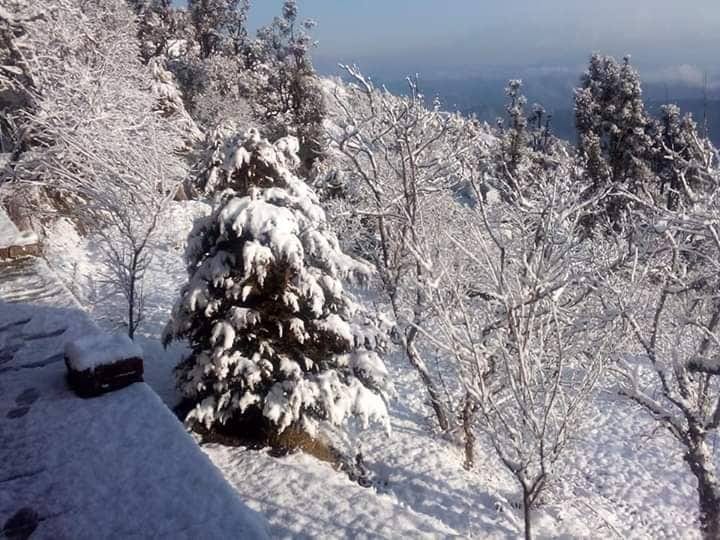 snowfall photos from mussoorie dhanaulti pthoragarh an chardham