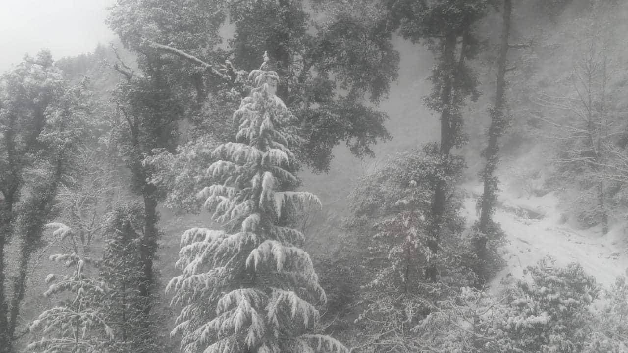 snowfall photos from mussoorie dhanaulti pthoragarh an chardham