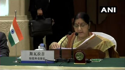 Sushma Swaraj Hindi love was seen in Parliament to United Nation, the world was convinced by her
