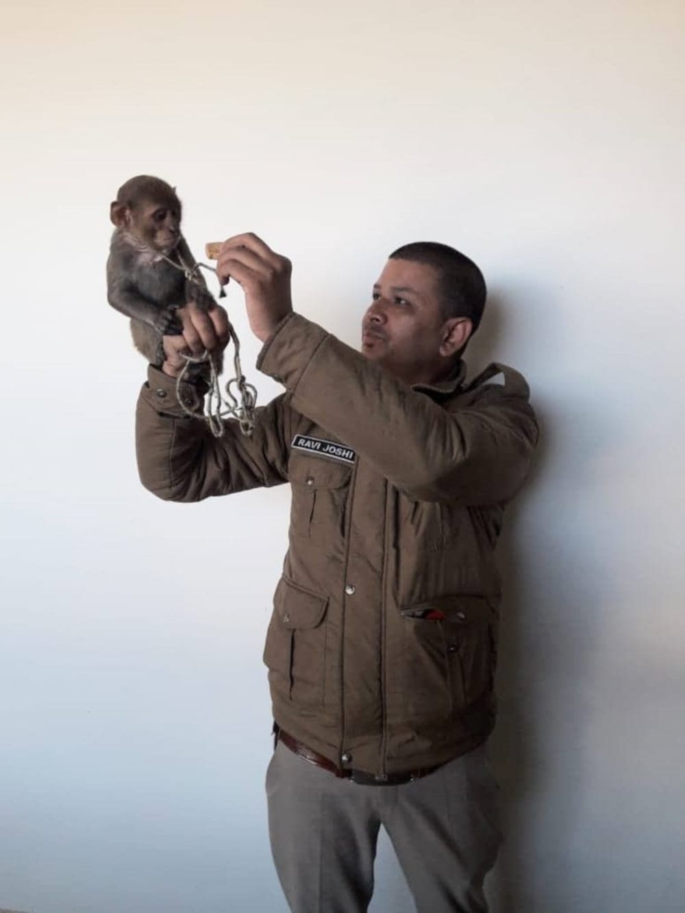 baby monkey rescue from hanuman mandir in dehradun cute picture