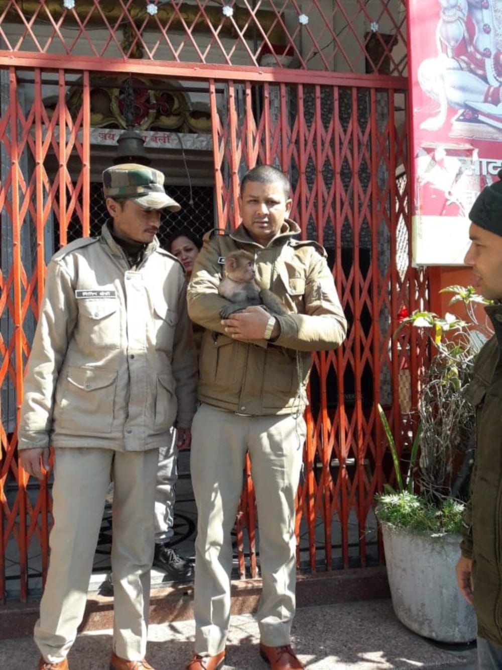 baby monkey rescue from hanuman mandir in dehradun cute picture