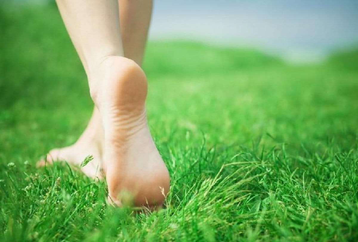 people who have short height are at greater risk of diabetes type 2