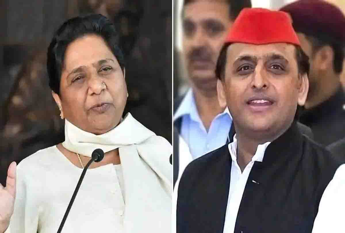 bjp leader statement on bjp before lok sabha elections 2019