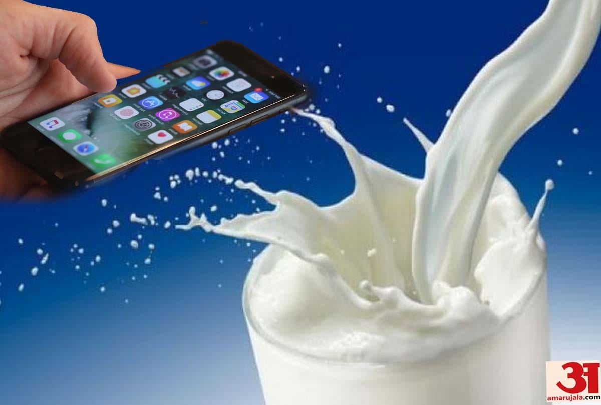 Milk purity can be tested by mobile app In gorakhpur