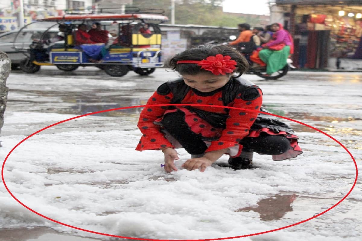 Rain and fierce hailstorm in Bijnor and see photos