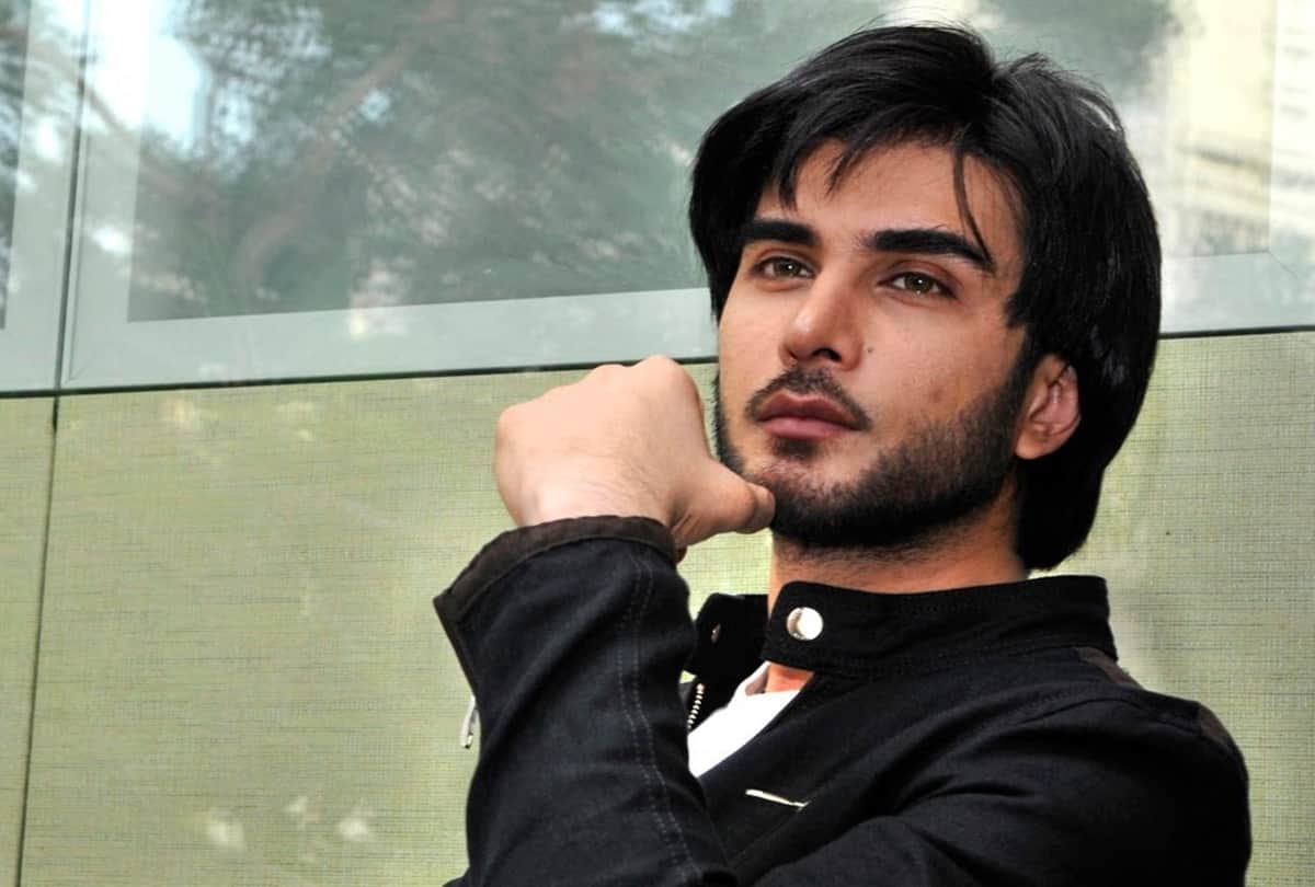 Pakistani Actor Imran Abbas Furious Over indian Singer Adnan Sami