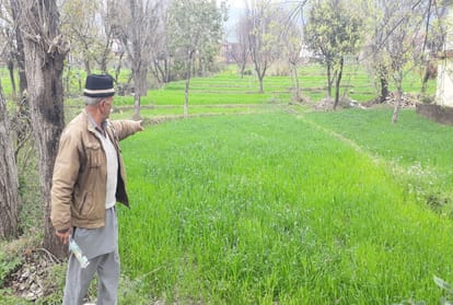 Pakistan attacked dharamshala of Himachal in 1965 war