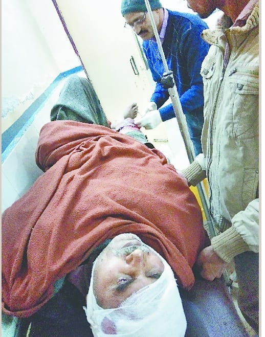 Sutlee Math Forest Rural Injury in Bear Attack