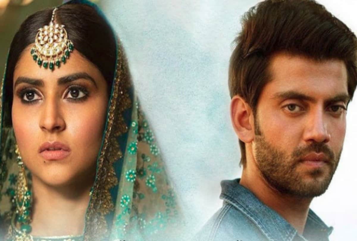 junglee and notebook movie box office collection day 4