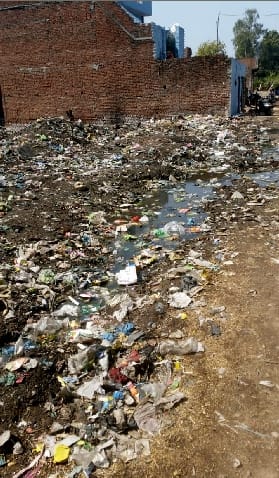 वार्ड परिक्रमा- कोहाड़ापीर- 100 से ज्यादा डेयरियों ने नर्क बनाकर रख दिया वार्ड