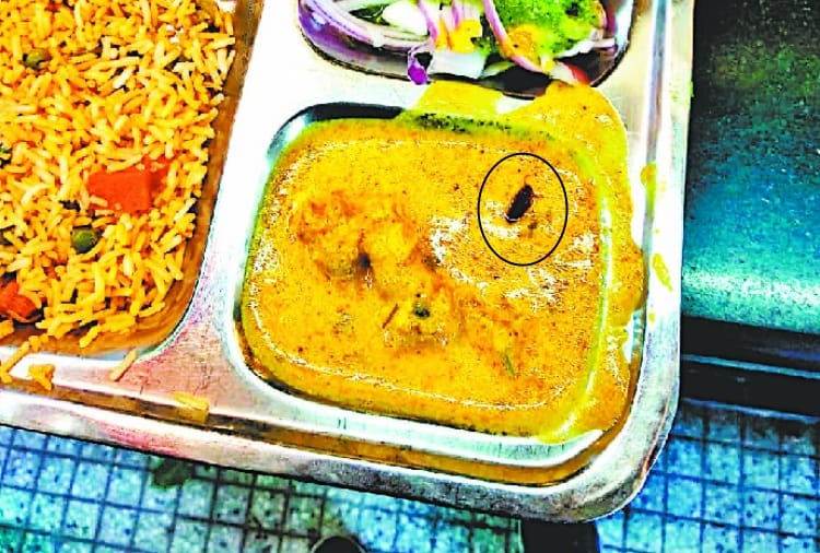 cockroach coming out of the punjab University student center food