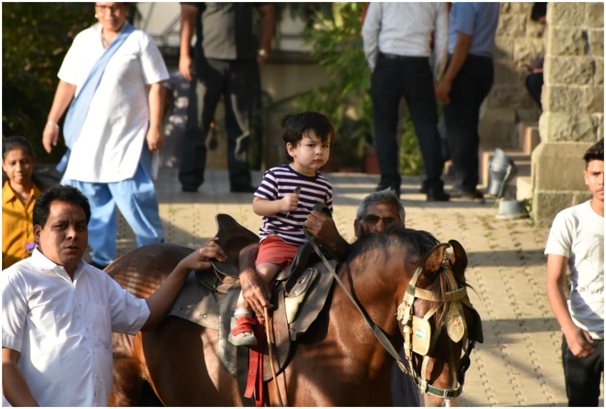 taimur ali khan debut in kareena kapoor film good news know the reality of this news